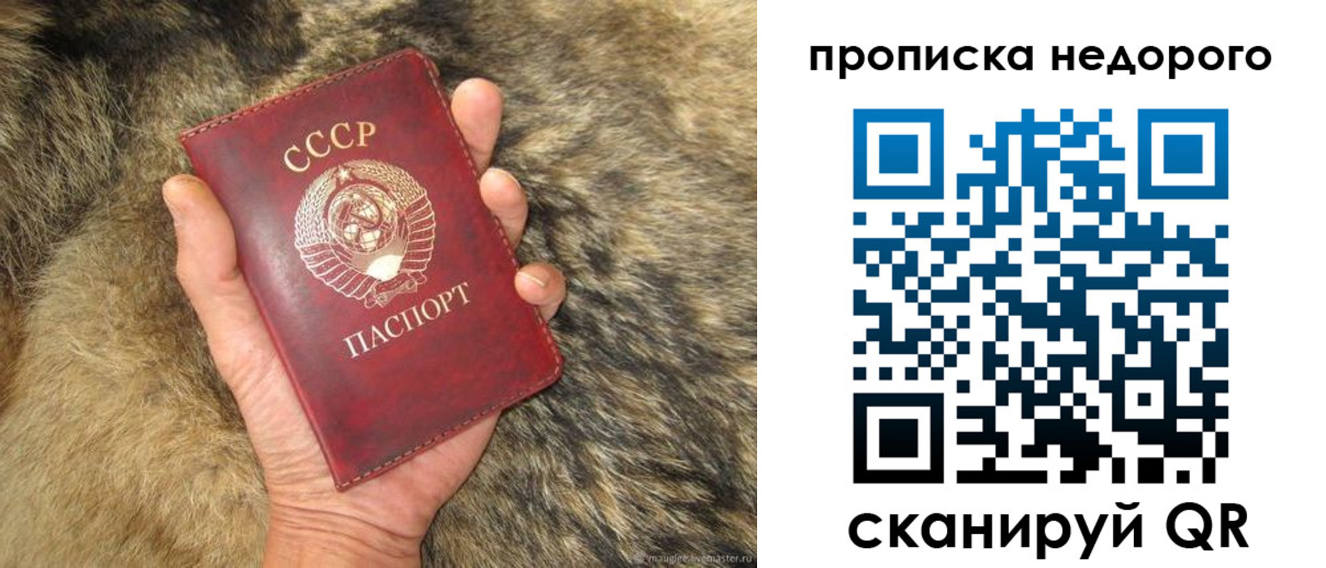прописка для школы в Бавлах
